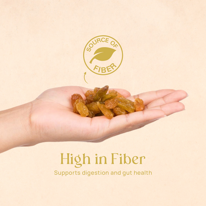 Handful of golden raisins held in an open palm