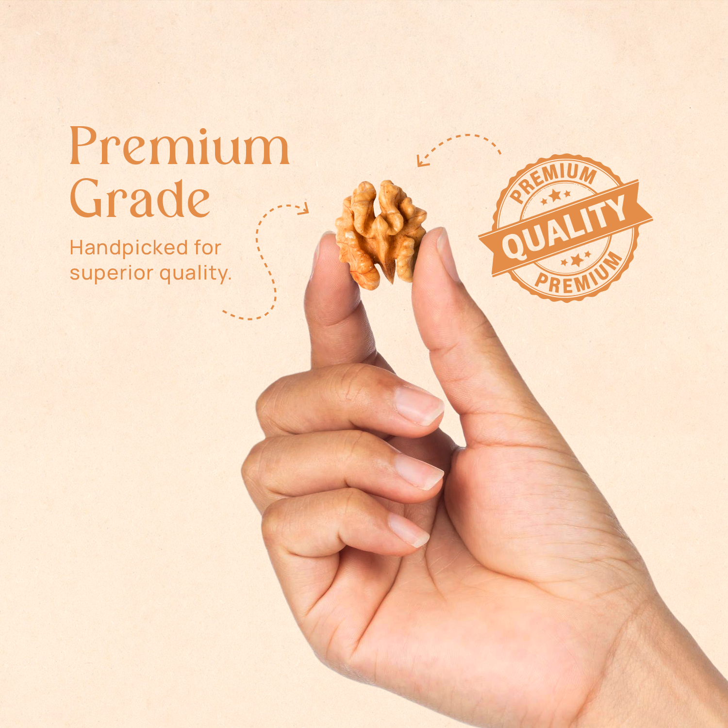 Hands holding chile walnut pieces