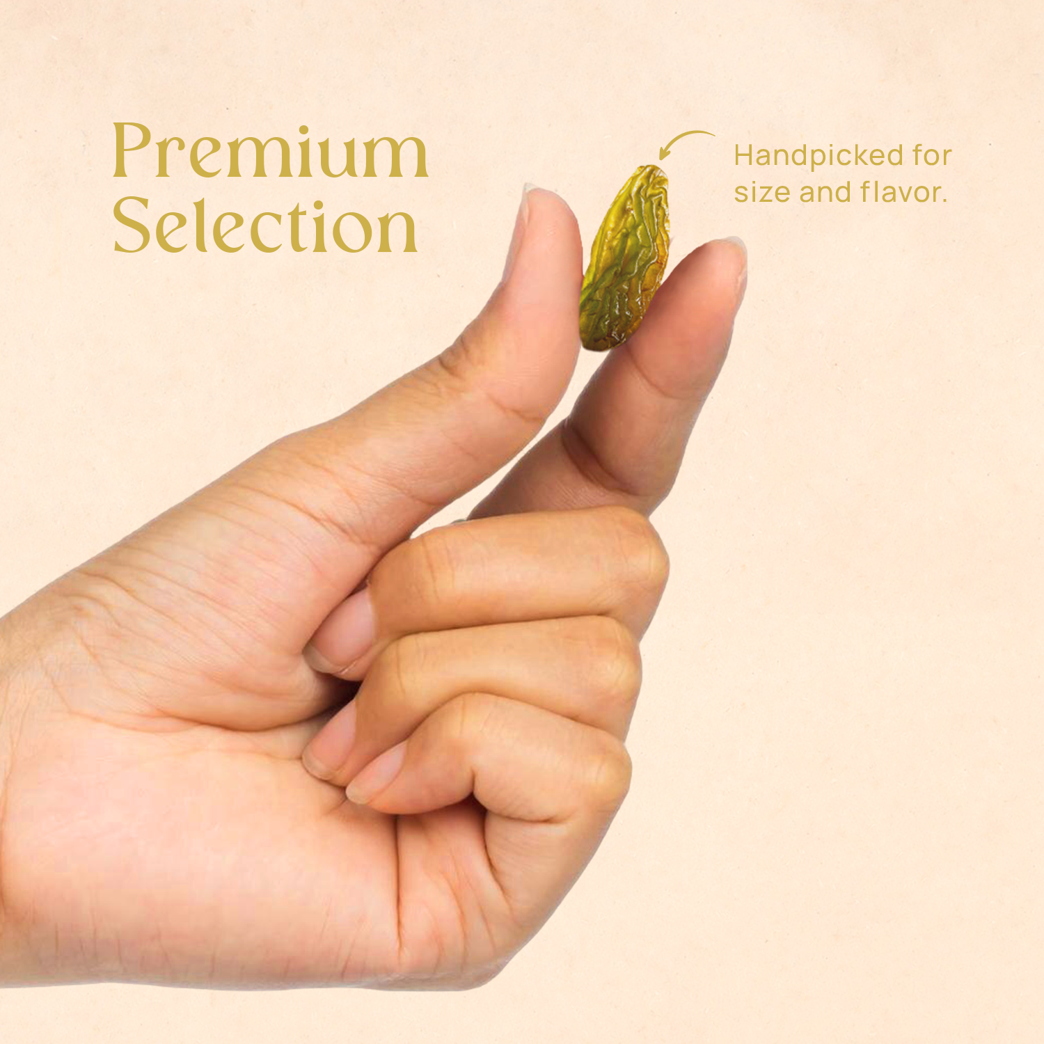 Single golden raisin held between fingertips above an open hand